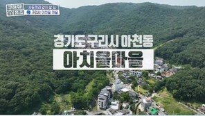 JYP 대저택이 떡…손예진·현빈도 사는 아치울마을 어디?