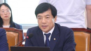 ‘대북송금’ 수사 검사, ‘대변 루머’ 제기한 野 의원 등 8명 고소