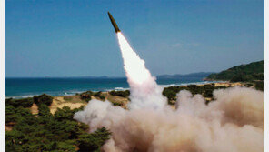 자체 핵무장, 한국 생존과 번영에 꼭 필요한 무력 수단