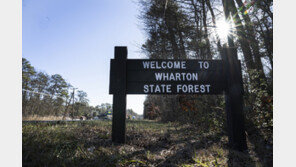 미 동부 뉴저지주도 빠른 산불로 광활한 삼림 전소…65% 진화