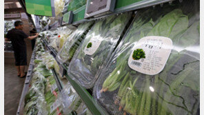 장마철 치솟는 채솟값…일주일새 쌈배추 26%-상추 17% 급등