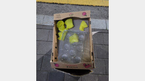 배달하려고 놔뒀는데…무거운 수박은 놔두고 복숭아만 싹쓸이