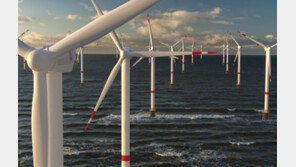 “바다 위의 풍력 발전기… 생태계 피해 적을 수도”