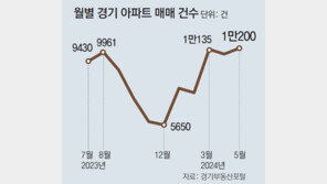 경기 아파트 거래 33개월만에 최대… “신생아 대출 등 영향”