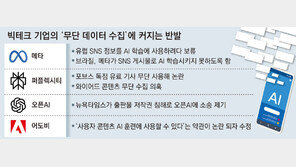 “허락없이 데이터 쓰지마” AI 무단학습 막힌 빅테크들 울상