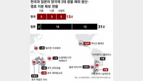 배터리 3대 광물 광산 지분확보… 中 407곳, 日 31곳, 韓 15곳