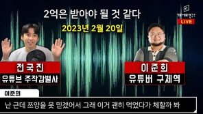 검찰, ‘쯔양 폭로 모의’ 유튜버들 고발 사건 형사3부 배당