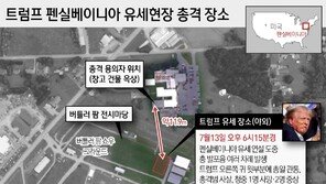 “미국 성인 20명 중 1명 소총 소유…고교엔 소총 동아리”