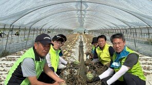 농협경제지주, 집중호우 피해 농가 수해복구 작업 실시