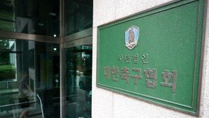 KFA “조사받겠지만…정부 개입 과하면 월드컵 못 나갈 수 있다”