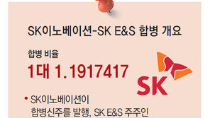 ‘자산 106조’ 亞최대 에너지기업 탄생… SK 이노-E&S 합병 의결