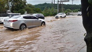 전국 물폭탄에 901명 대피…지하철·여객선 운행 중단