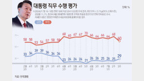 尹 직무 긍정평가, 4%P 올라 29%