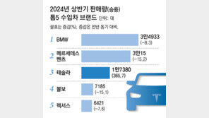 ‘獨 3社’ 주도 수입차 시장, 테슬라 진입 ‘新3강’으로