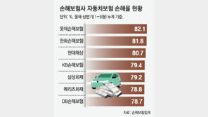 손보사 “車침수 피해 늘어 손해율 급등”… 보험료 인상 가능성