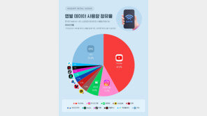 “한국인 ‘유튜브’ 보느라 데이터 사용량 42% 쓴다”