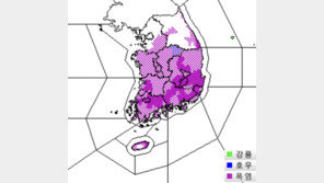 장마 주말께 남부·제주 종료…중부는 태풍 ‘개미’에 달렸다