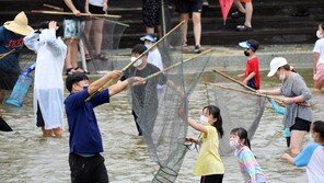 ‘여름 축제 맛집’ 경북서 취향껏 즐겨요