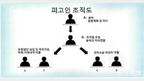 전자소송 허점 노려 16억 원 뜯어낸 신종 사기 일당 적발