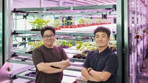 [농업이IT(잇)다] 넥스트그린, 기후변화 속 고부가가치 작물 재배 ‘식물공장 육묘 시스템’을 제안하다