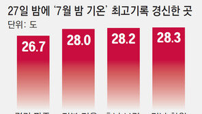 창원-보령-정읍 ‘최저 28도’ 열대야…  역대 7월중 가장 더웠던 밤