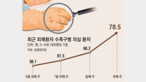 영유아 수족구병 역대 최다 ‘비상’