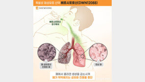 대웅제약, 세계 최초 ‘폐섬유증 신약’ 상용화에 한 발짝… 2차 IDMC서 임상 지속 권고