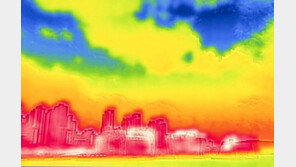 “폭염에 숨막힌다” 경기도, 위기경보 경계→심각 상향 예고
