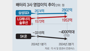 ‘전기차 직격탄’ 삼성SDI, ESS 호황 덕에 실적은 ‘선방’