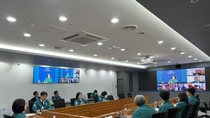 ‘중동 위기 최고조’에 외교부 “출국 권고·중동 여행 자제” 당부