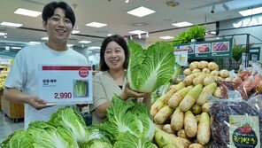 롯데마트, 정부비축 배추 판매… 시세보다 평균 50% 싸게 판매