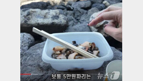 “5만원짜리 해산물이 고작” ‘또 바가지’ 논란 제주 용두암 노점 철거