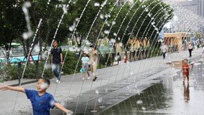 서울서 첫 폭염 재대본 가동…폭염 위기 단계 ‘심각’ 격상