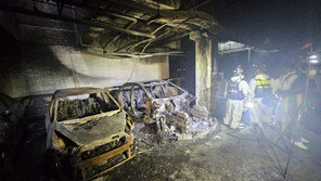 “1억차에 듣보잡 배터리, 내 차도?”…보닛 열어본 운전자들 ‘울컥’