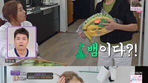 손담비, 임신 기원 뱀 인형에 경악…“엄마 좀 말려주세요”