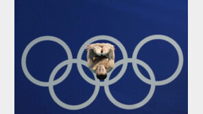 오륜기 속에 쏙…伊 다이빙 선수, 사진 만큼은 1등[파리 2024]