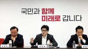 與, 민주 3번째 채상병특검법에 “민생보다 정쟁 택해”