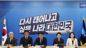 “친일 정권 행사 참여 못해”…조국혁신당 광복절 경축식 “불참” 민주도 “검토”