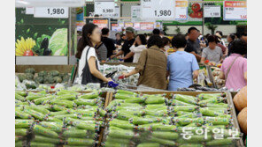 “오이값 1.5배, 장보기 겁나요”… ‘히트플레이션’에 또 물가 비상