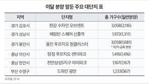 청약 수요 쏠리는 대단지... 이달에만 1만 1천여 가구 일반분양