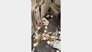 국토부 “기내 컵라면 중단을”… 잇단 난기류 사고에 권고