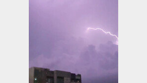 제주 ‘번쩍’ 낙뢰 이틀간 500번 쳤다…기상청 장비까지 파손