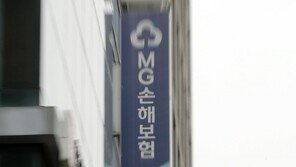 메리츠화재까지 참전했지만… MG손해보험 경영권 매각 또 ‘불발’