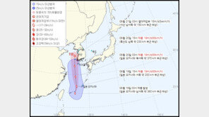 제9호 태풍 종다리 발생…19~20일 한반도 전역에 비