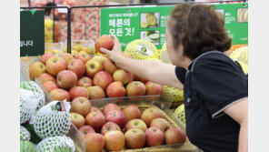 사과값은 한숨 돌려… “생산 24% 증가, 金사과 이전으로”