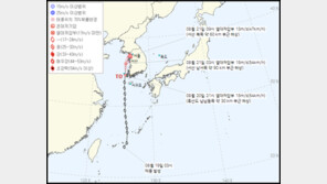 태풍 종다리, 세력 약화에도…강한 비 뿌린다