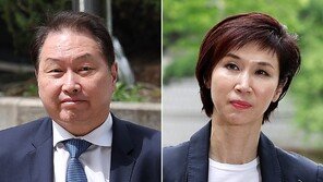 법원 “최태원-동거인 김희영, 노소영에 위자료 20억원 지급하라”