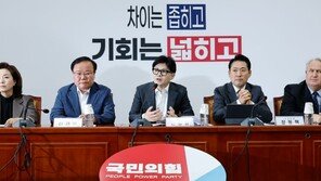 與, 인재영입위원장 고동진·수도권특위위원장 오신환…‘중·수·청’ 속도