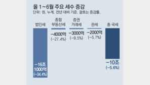 세수, 올해도 ‘20조 펑크’ 전망… 저출산-고령화 재원 부족 우려