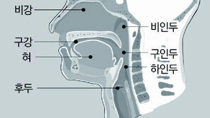 [전문의 칼럼] 장애 유발하는 두경부암, 조기 발견하면 완치 가능